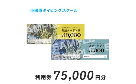 小田原ダイビングスクール共通クーポン券 75,000円分