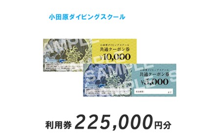 小田原ダイビングスクール 共通クーポン券 225,000円分