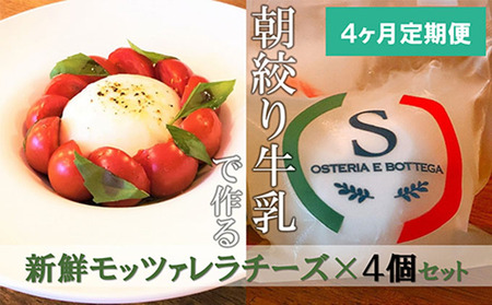【4ヶ月定期便】【出来立て新鮮】モッツァレラチーズ100g×4個セット