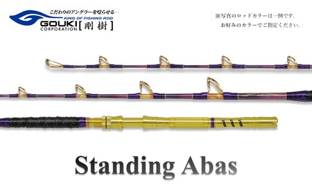 剛樹 スタンディングアーバス （STD ABAS SR165） 165cm ウェイト負荷70-300号 釣り 釣具 釣竿 ロッド