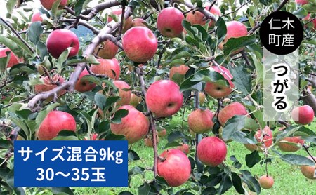 【先行受付／2023年9月から順次出荷】仁木町の採れたてりんご「つがる」9kg≪妹尾観光農園≫