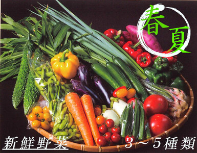 006-05じばさんずの野菜セット