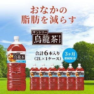 サントリー烏龍茶OTPP（機能性表示食品） 2L×6本 ペットボトル　3ヶ月定期