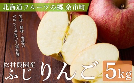 《北海道フルーツの郷 余市町》松村農園産りんご ～ふじ～ ５kg＜ふるさとクリエイト＞