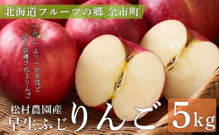 《北海道フルーツの郷 余市町》松村農園産りんご ～早生ふじ～ ５kg＜ふるさとクリエイト＞