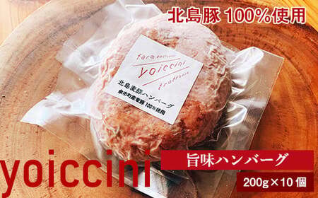 北島豚100％使用！ヨイッチーニ旨味ハンバーグ200g×10個〈ヨイッチーニ〉_Y020-0118