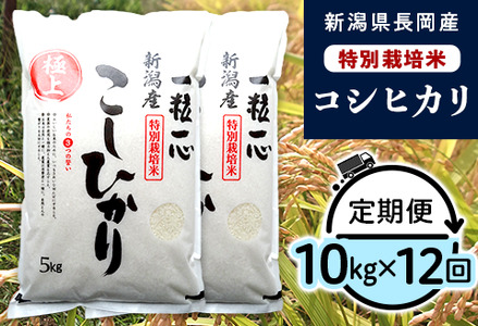 48-10Z【12ヶ月連続お届け】新潟県長岡産特別栽培米コシヒカリ10kg
