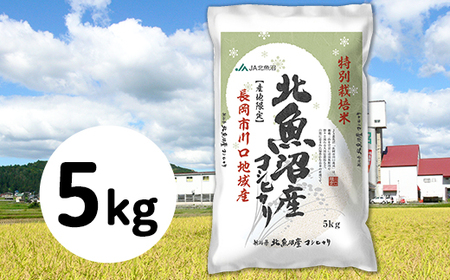 5S05-1北魚沼産コシヒカリ特別栽培米5kg（長岡川口地域）