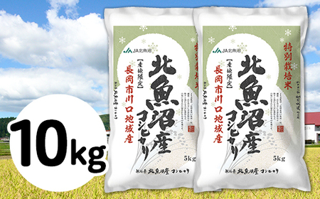 5S10-1北魚沼産コシヒカリ特別栽培米10kg（長岡川口地域）