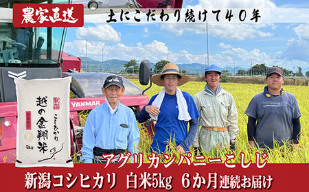 J8-5N056【6ヶ月連続お届け】新潟県長岡産コシヒカリ5kg（特別栽培米）