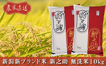 J8-5MS101新潟県長岡産　新之助　無洗米10kg（5kg×2袋）