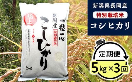 48-053【3ヶ月連続お届け】新潟県長岡産特別栽培米コシヒカリ5kg