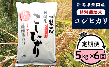 48-056【6ヶ月連続お届け】新潟県長岡産特別栽培米コシヒカリ5kg