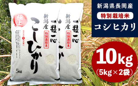 48-101新潟県長岡産特別栽培米コシヒカリ10kg