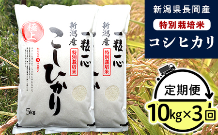 48-103【3ヶ月連続お届け】新潟県長岡産特別栽培米コシヒカリ10kg