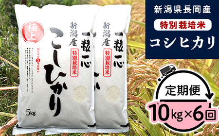48-106【6ヶ月連続お届け】新潟県長岡産特別栽培米コシヒカリ10kg