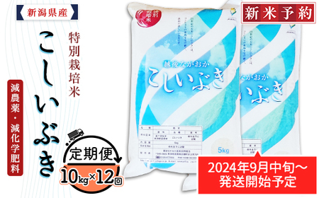 75-3K10Z【12ヶ月連続お届け】新潟県長岡産特別栽培米こしいぶき10kg（5kg×2袋）