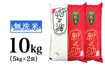 48-R101【無洗米】新潟県長岡産「新之助」10kg（5kg×2袋）