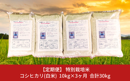 [定期便10kg×3か月]特別栽培米コシヒカリ（白米） 計30kg 令和5年産米 [佐藤農産有機センター]【049S006】