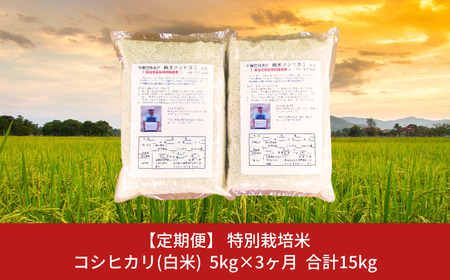 [定期便5kg×3か月]特別栽培米コシヒカリ（白米） 計15kg 令和5年産米 [佐藤農産有機センター]【025S043】
