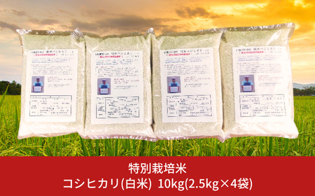 特別栽培米コシヒカリ（白米）10kg（2.5kg×4袋） 令和5年産米 [佐藤農産有機センター]【018S050】