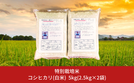 特別栽培米コシヒカリ（白米）5kg（2.5kg×2袋） 令和5年産米 [佐藤農産有機センター]【010S444】