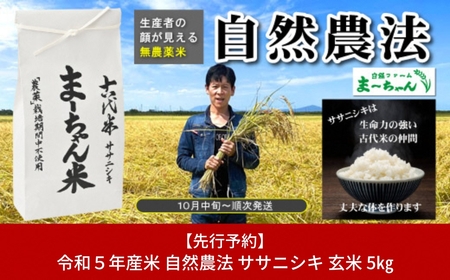 先行予約　ま〜ちゃん米 自然農法 ササニシキ 玄米 5kg 無農薬 自然米 古代米【015S015】