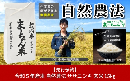 先行予約　ま〜ちゃん米 自然農法 ササニシキ 玄米 15kg 無農薬 自然米 古代米【040S005】