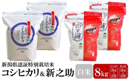 【令和5年産米】新潟県認証特別栽培米 コシヒカリ・新之助 白米 各4kg 食べ比べセット[ZB365]