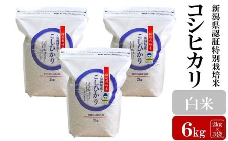【令和5年産米】新潟県認証特別栽培米 コシヒカリ 白米 6kg（2kg×3袋）[ZB362]