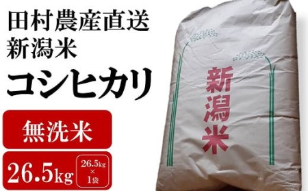 【令和5年産米】田村農産のコシヒカリ 無洗米 26.5kg[ZG423]