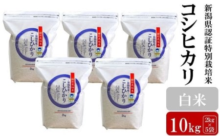 【令和5年産米】新潟県認証特別栽培米 コシヒカリ 無洗米 10kg（2kg×5袋）[ZF256]