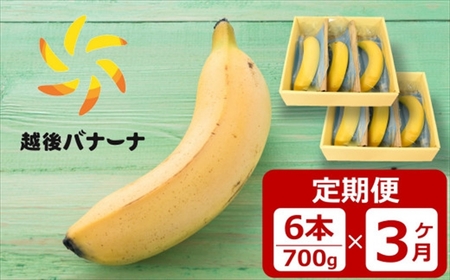 【定期便】皮ごと食べられるバナナ！越後バナーナ 600g（5～8本）×3回 [I707]
