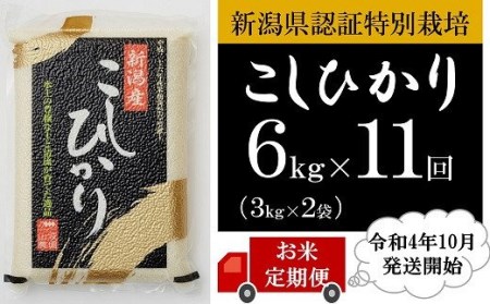 【定期便】新潟県認証特別栽培 コシヒカリ 白米 6kg（3㎏×2袋）×11回（計 66㎏） [M015]
