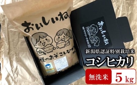 【令和5年産米】おいしいね 厳選 新潟県認証特別栽培米 コシヒカリ 無洗米 5kg [B495]