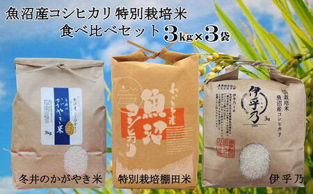 23P122 魚沼産コシヒカリ3ｋｇ３袋 特別栽培米食べ比べセット（うちがまき 絆）（アスカ冬井）（Mt.ファームわ かとち）