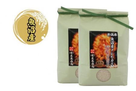 r05-katakai002 【片貝まつり】花火特別お米セット