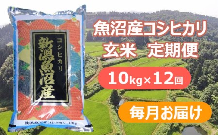 r05-274-001 魚沼産コシヒカリ・棚田米 玄米10kg×12回（毎月）