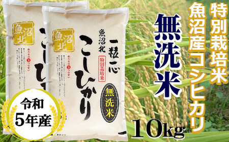 r05-20-3G 【令和5年産】【無洗米】特別栽培米 魚沼産コシヒカリ 10kg（5㎏×2袋）（(有)グリーン）白米 魚沼 米