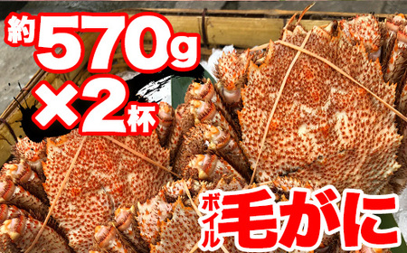 【訳あり】北海道産 冷凍ボイル毛がに（約570g×2杯）かに 蟹 かにみそ 小分け 毛蟹 海産物 魚介類 水産物応援 水産物支援 年内発送 NP1-316