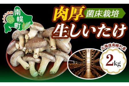 北海道南幌町産 肉厚 生しいたけ 2kg 菌床栽培 NP1-238