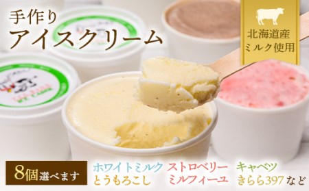 北海道産 南幌町 手作りアイスクリーム 120ml×8個セット (お好み詰め合わせ) NP1-293