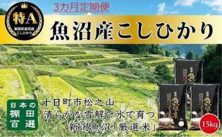 「3カ月定期便」日本棚田百選のお米　天空の里・魚沼産こしひかり　15kg(5kg×3)×3回