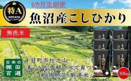 無洗米「6カ月定期便」日本棚田百選のお米　天空の里・魚沼産こしひかり　３０kg（５kg×６）×６回