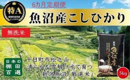 無洗米「6カ月定期便」日本棚田百選のお米　天空の里・魚沼産こしひかり　５ｋｇ×６回