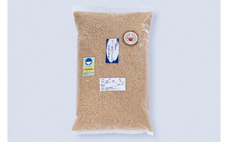 【令和5年産米】新潟岩船産 特別栽培 コシヒカリ 玄米 5kg A4221