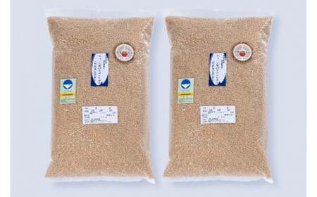 【令和5年産米】新潟岩船産 特別栽培 コシヒカリ 玄米 5kg×2袋 B4125