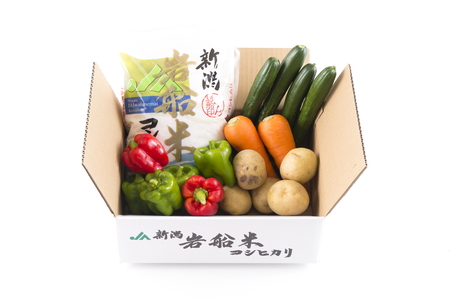A4031 【令和5年産米】新潟県岩船米コシヒカリと季節の野菜セット?