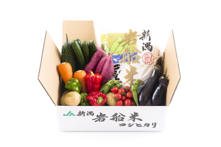 B4026 【令和5年産米】新潟県岩船米コシヒカリと季節の野菜セット?