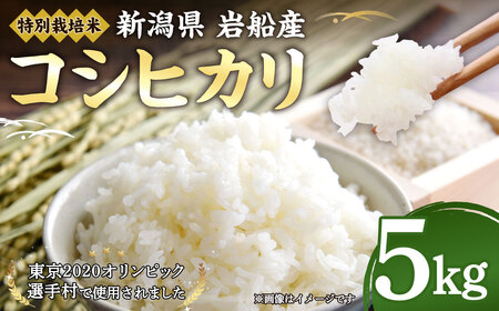 【令和4年産米】特別栽培米 新潟県岩船産コシヒカリ5kg